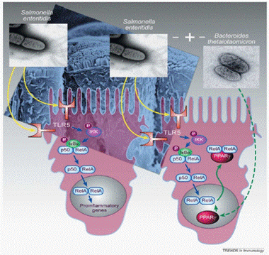 1501220420769734.gif 1.gif