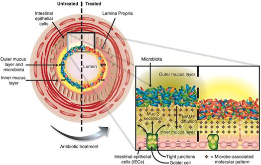 1501220444480027.jpg 13.jpg