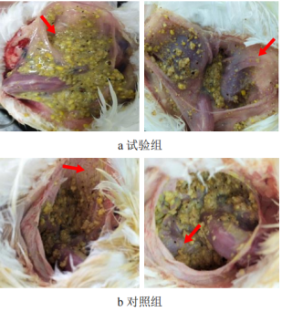 1661823569552949.png image.png