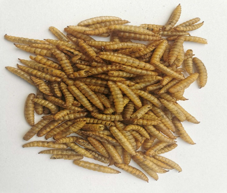 1686800233567100.png image.png