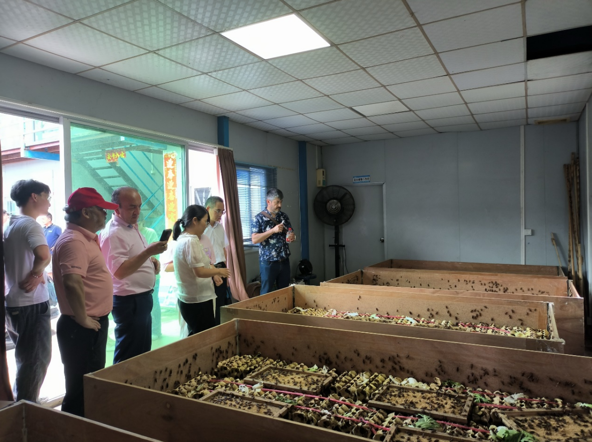 1722324847786878.png image.png